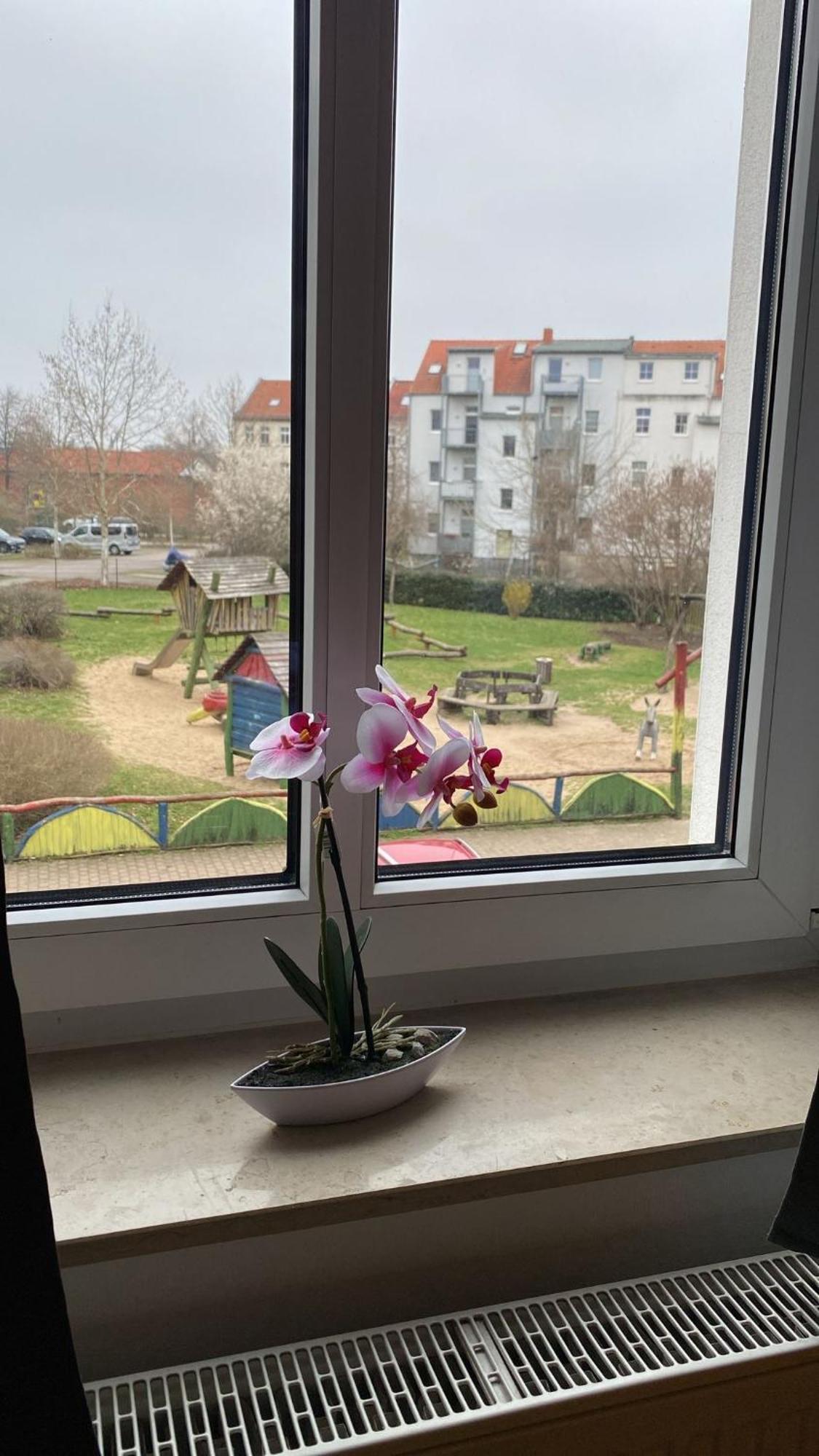 Fewo "Franzi" 5 Personen, Zentrale Lage, Parkplatz Dessau-Rosslau Εξωτερικό φωτογραφία